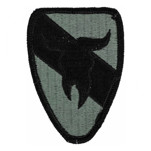 163rd Armored Cavalry Regiment Patch Foliage Green (Velcro Backed)