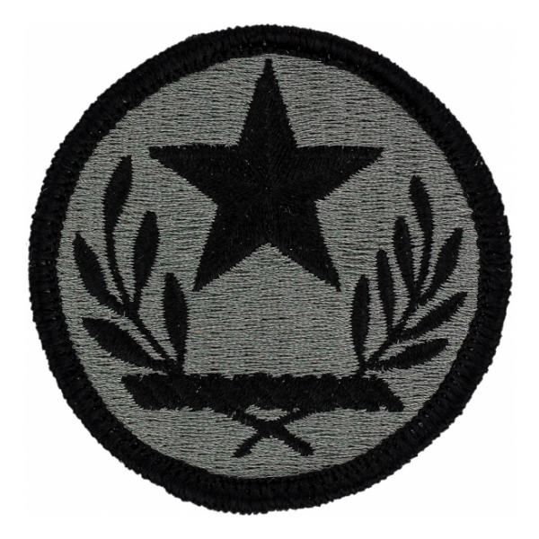 Texas National Guard Headquarters Patch Foliage Green (Velcro Backed)