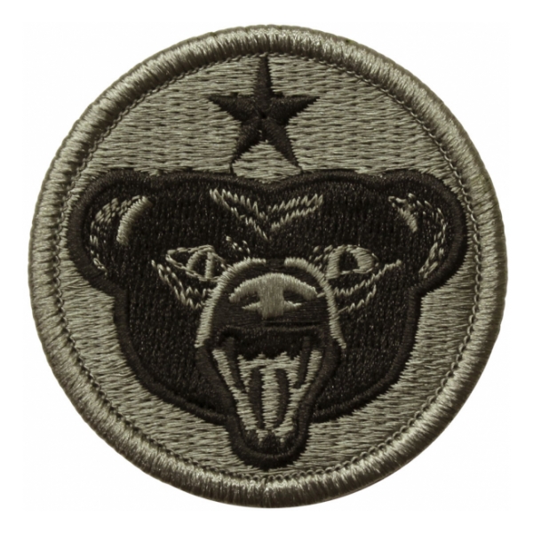 Alaskan Air Defense Command Patch Foliage Green (Velcro Backed)