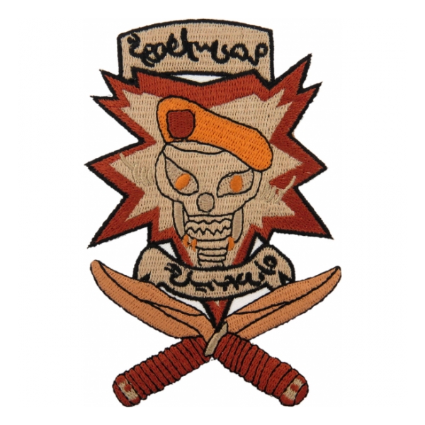 2nd Battalion 19th Special Forces Group (SOTA) Desert PATCH