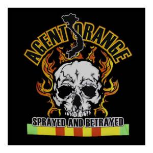 Army Airborne Death From Above T-Shirt (Black) Black Ink Design