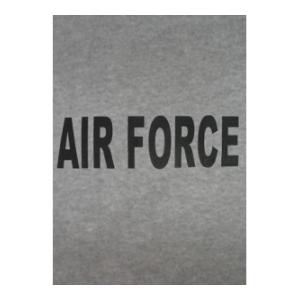 Air Force T-shirt (Gray)