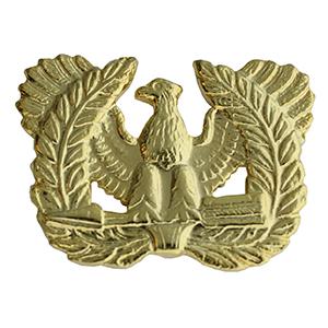 Army Warrant Officer Insignia