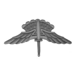 military freefall badge no background military freefall badge no background