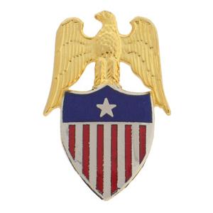 Aide to Brigadier General Insignia