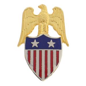 Aide to Major General Insignia