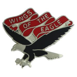 101st Aviation Battalion Pin