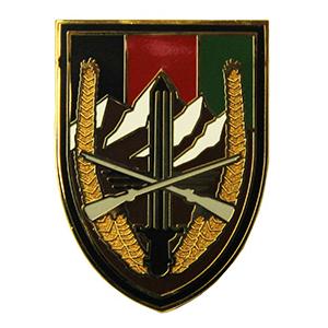 U.S. Forces Afghanistan Combat Service I.D. Badge