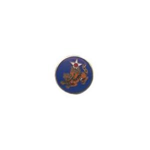 14th Army Air Force Pin