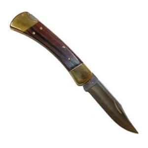 Buck Folding Hunter Knife