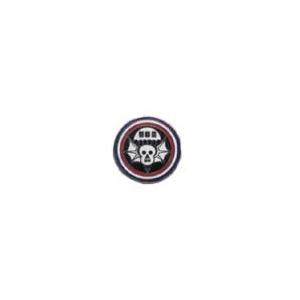 502nd Airborne Infantry Regiment Pin