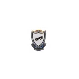 505th Airborne Infantry Regiment Pin