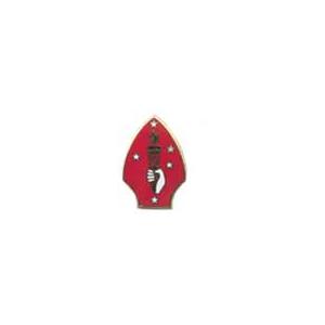 2nd Marine Division Pin