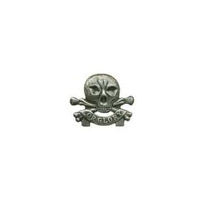 17th/21st Lancers Death Or Glory Pin