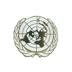 U.N. Beret Badge