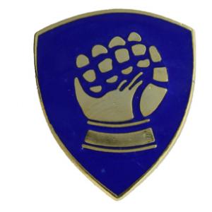 46th Division Pin