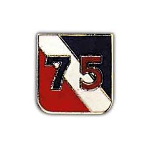 75th Division Pin