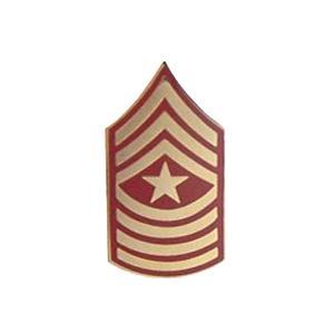 Marine Sergeant Major E-9 Pin (Gold on Red)