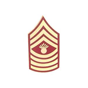 Marine Master Gunnery Sergeant E-9 Pin (Gold on Red)