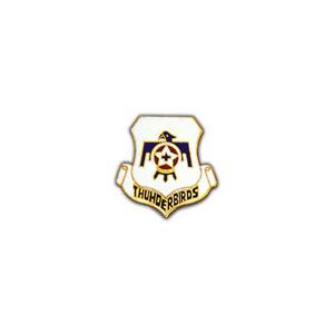 Air Force Thunderbirds Pin