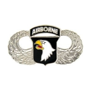 101st Airborne Wing Pin