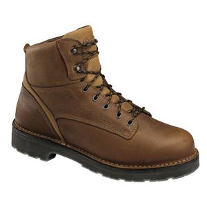 Danner Workman GTX  6