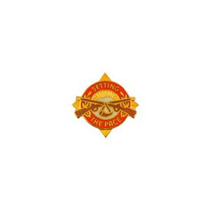 125th Army Reserve Command Distinctive Unit Insignia