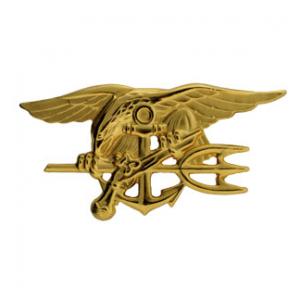 Navy Special Warfare (SEAL)