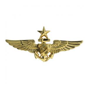 Navy Senior Astronaut Wings