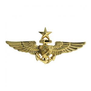 Navy Senior Astronaut Wings