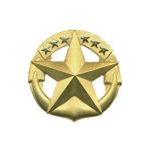 Navy Command At Sea Badge