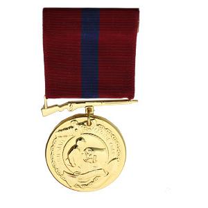 Marine Corps Good Conduct Anodized Medal (Full Size)