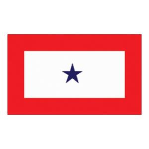 Member In Service Flag (3' x 5')