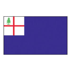 Bunker Hill Flag (3' x 5')