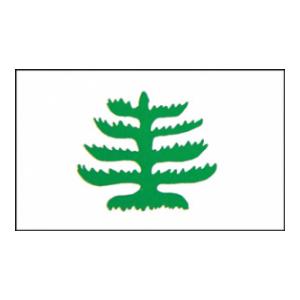 Pine Tree Flag (3' x 5')