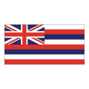 Hawaii State Flag (3' x 5')