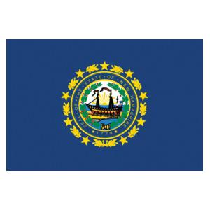 New Hampshire State Flag (3' x 5')