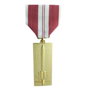 Vietnam Training Service Medal 1st. Class (Full Size Medal)