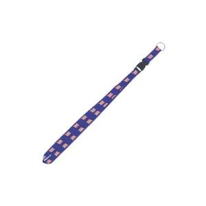 American Flag Lanyard