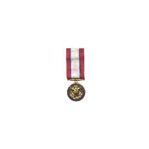 Army Distinguished Service Medal (Miniature Size)