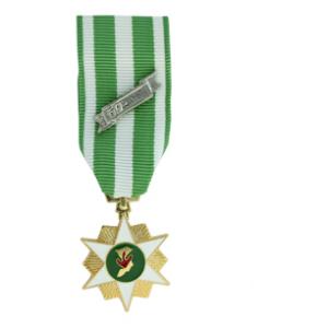 Republic of Vietnam Campaign Medal (Miniature Size)