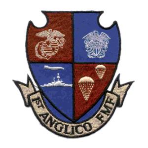 1st Anglico Fleet Marine Force Patch