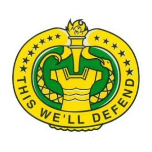 Army This We'll Defend Outside Window Decal