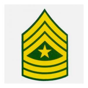 Army E-9 Sergeant Major Outside Window Decal