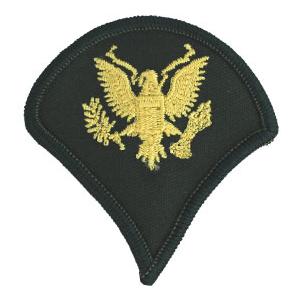 Army Spec 4 Chevron (Gold/Green) (Female)