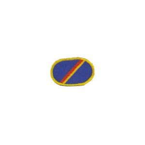 245th Aviation 1st Battalion Oval