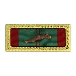 Republic of Vietnam Civil Actions Unit Citation (Large Frame Ribbon)