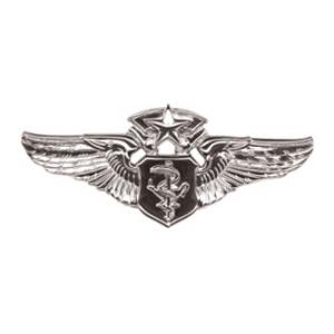 Air Force Chief Flight Nurse Wing