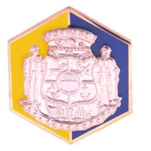 Wisconsin STARC Distinctive Unit Insignia