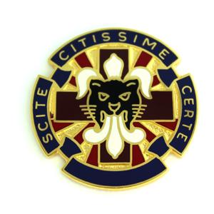 13th Combat Support Hospital Distinctive Unit Insignia